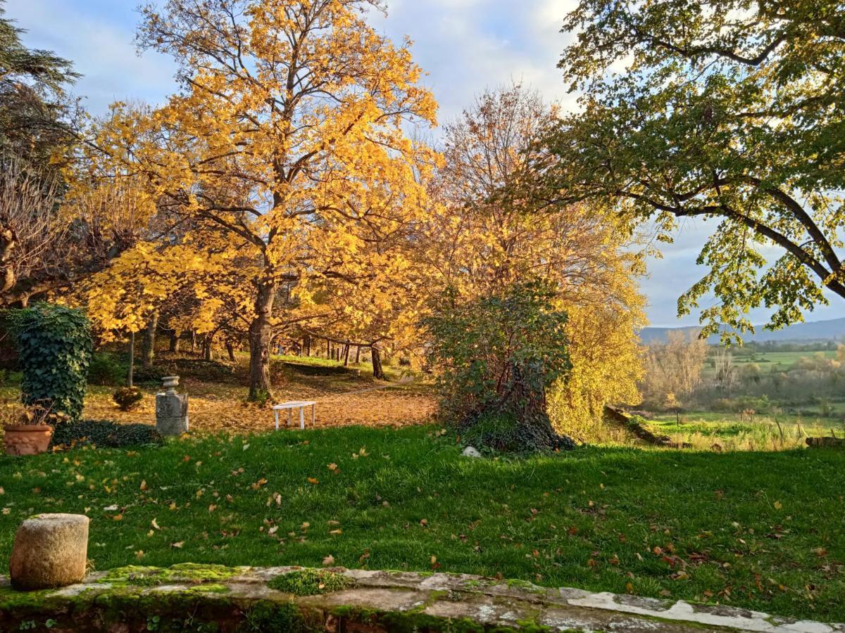 Maison Calme Avec Piscine Entouree De Son Parc Quintenas ภายนอก รูปภาพ