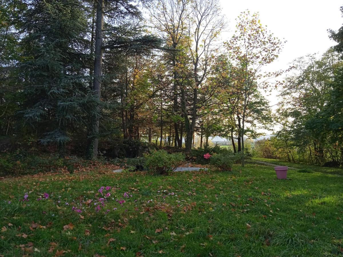 Maison Calme Avec Piscine Entouree De Son Parc Quintenas ภายนอก รูปภาพ